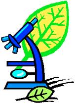 MICROSCOPE PIC 