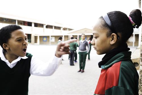 Verbal Bullying