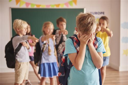 Social/Emotional Bullying