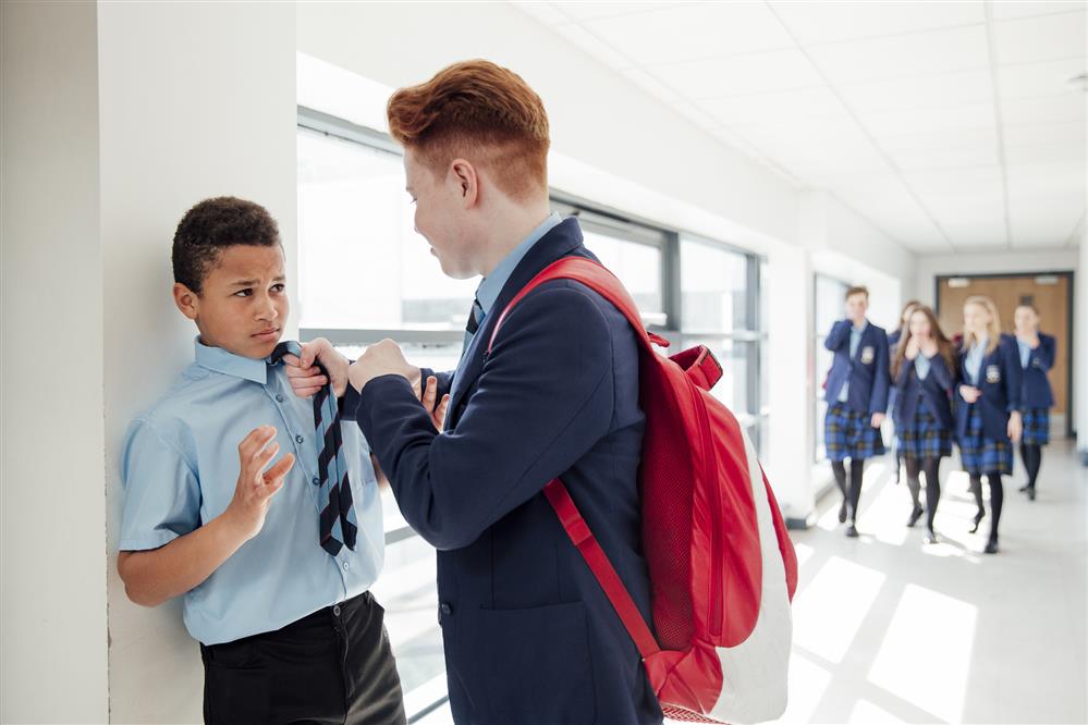 Physical Bullying
